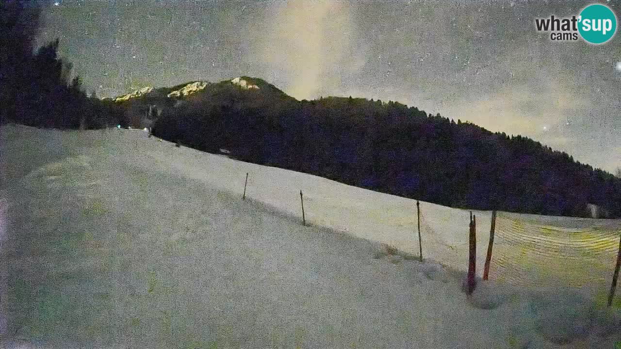 Ski Kranjska Gora | Brsnina