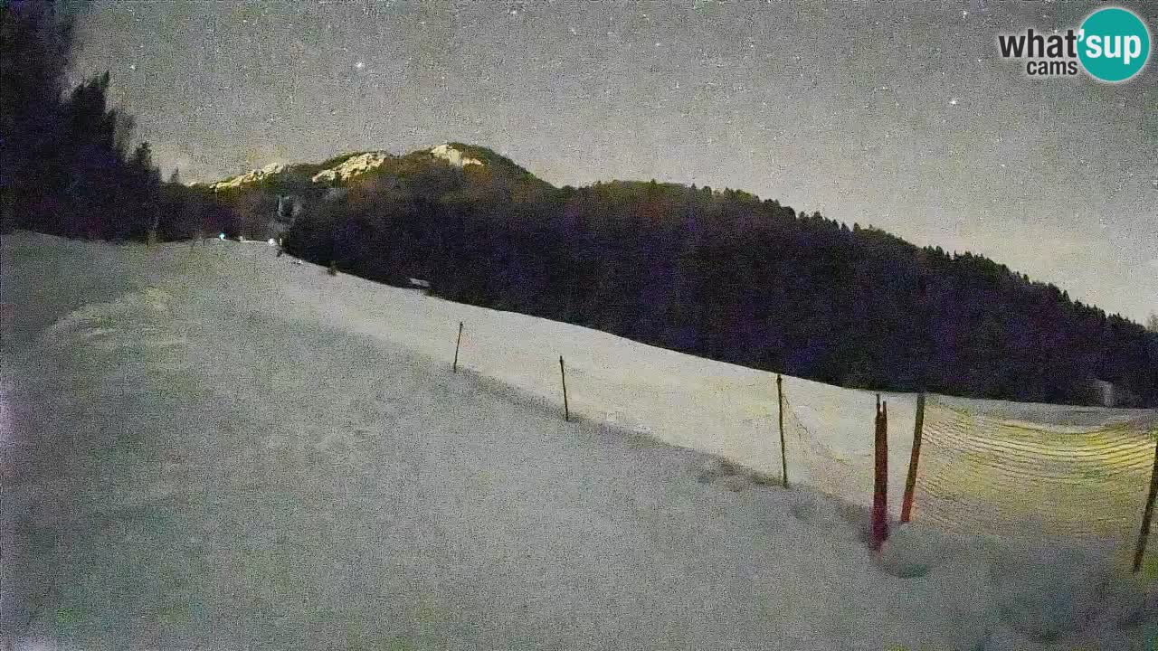 Ski Kranjska Gora | Brsnina