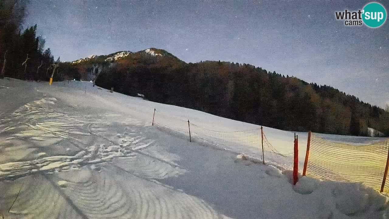 Comprensorio sciistico Kranjska Gora | Brsnina