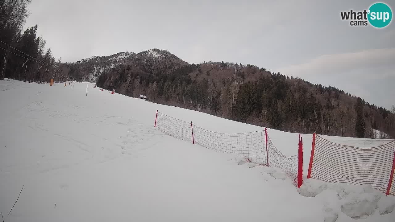 Kranjska Gora SKIJANJE | Brsnina