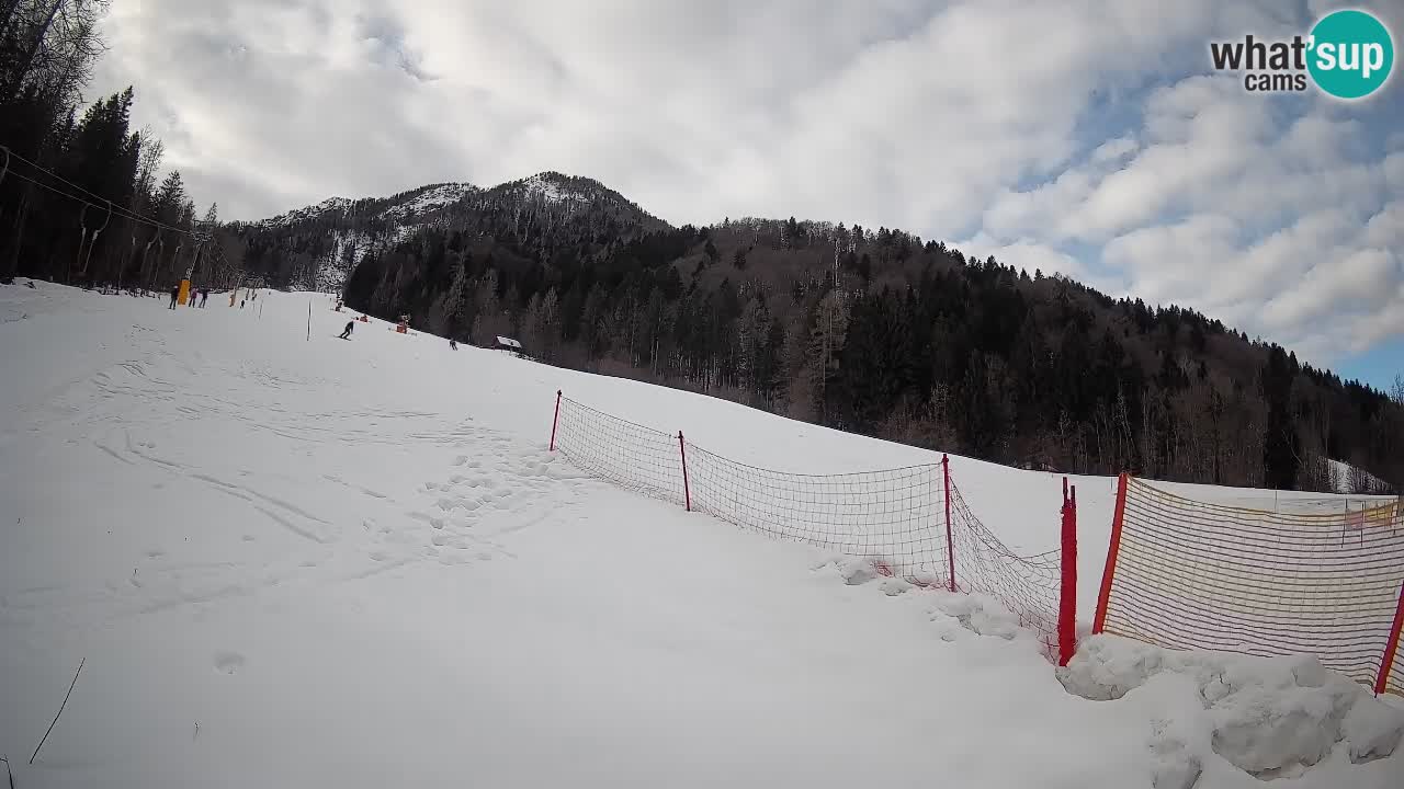 Ski Kranjska Gora | Brsnina