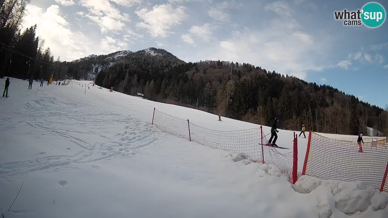 Comprensorio sciistico Kranjska Gora | Brsnina