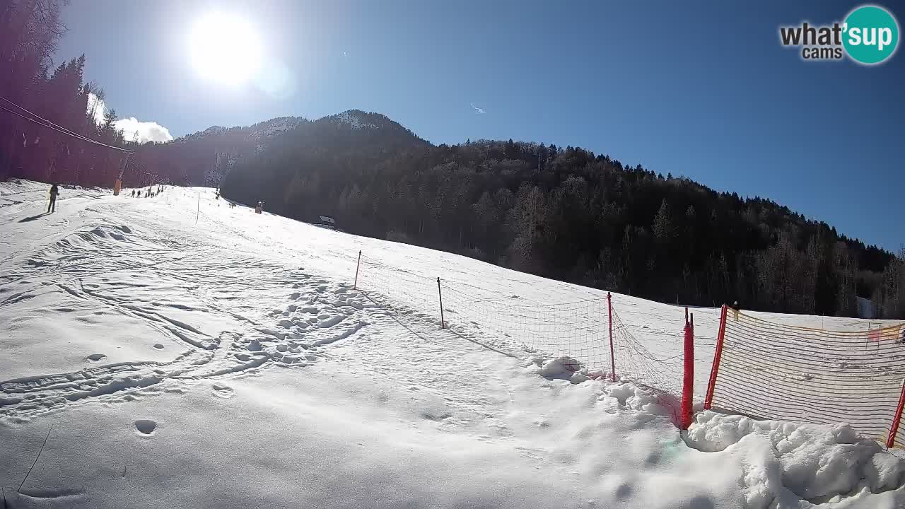 RTC Skigebiet Kranjska Gora | Brsnina