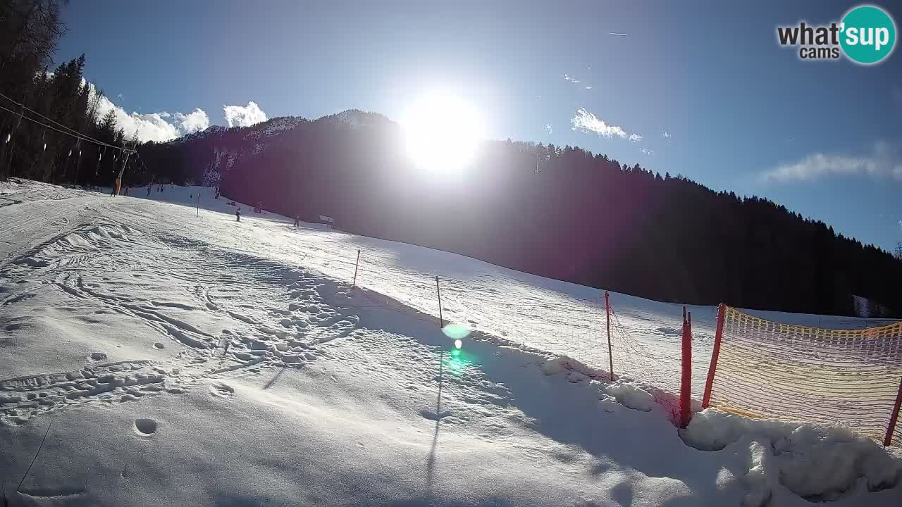 Kranjska Gora SKIJANJE | Brsnina