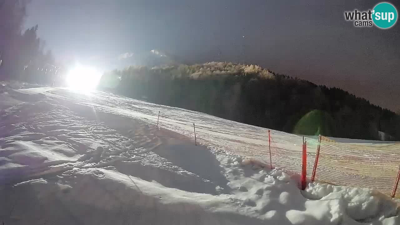 RTC Skigebiet Kranjska Gora | Brsnina