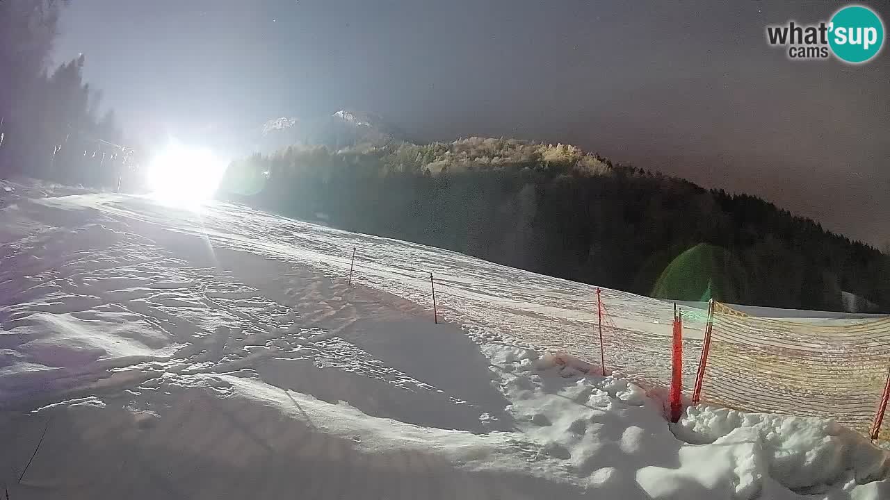 Ski Kranjska Gora | Brsnina