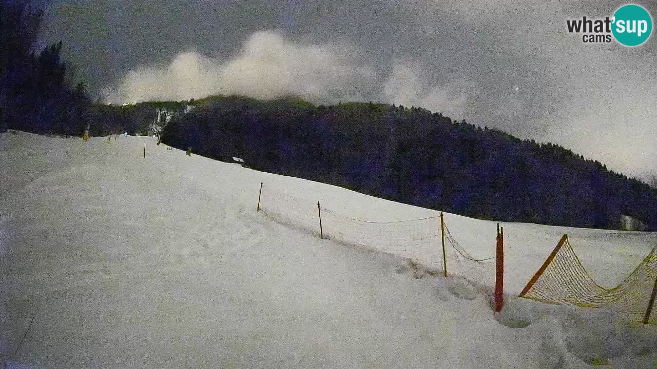RTC Skigebiet Kranjska Gora | Brsnina