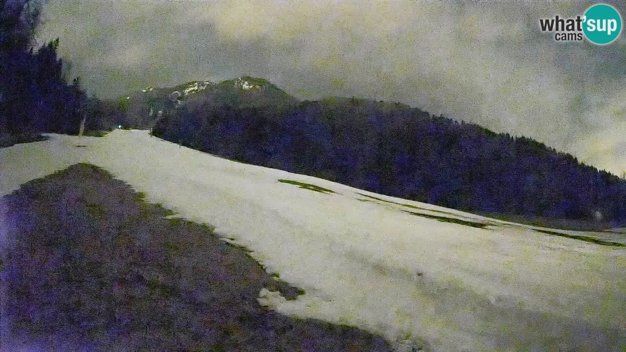 RTC Kranjska Gora | Brsnina