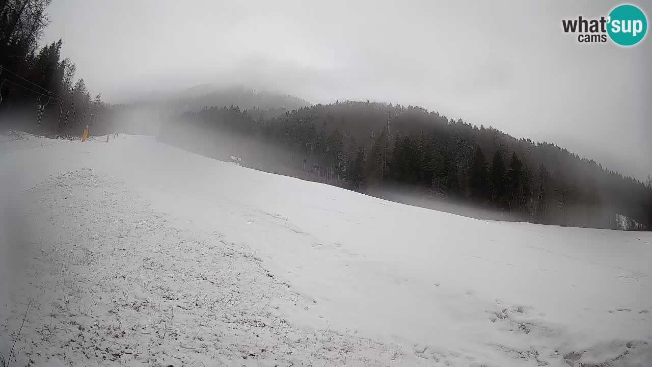 Ski Kranjska Gora | Brsnina