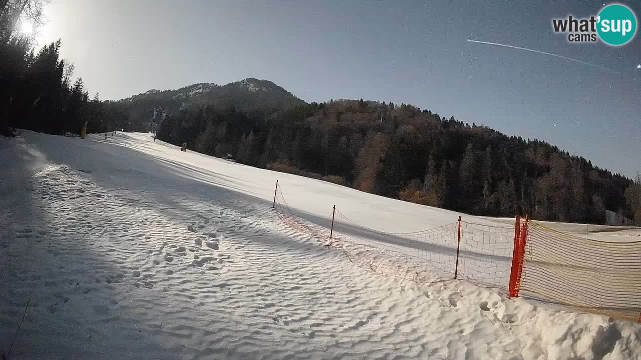 RTC Skigebiet Kranjska Gora | Brsnina