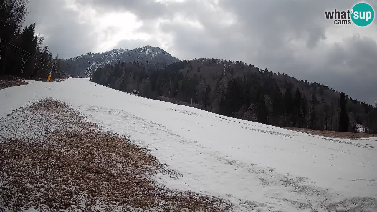 Ski Kranjska Gora | Brsnina