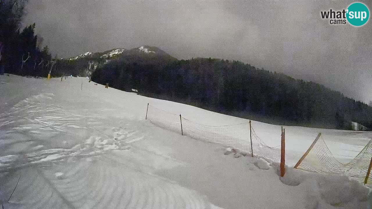 Kranjska Gora SKIJANJE | Brsnina