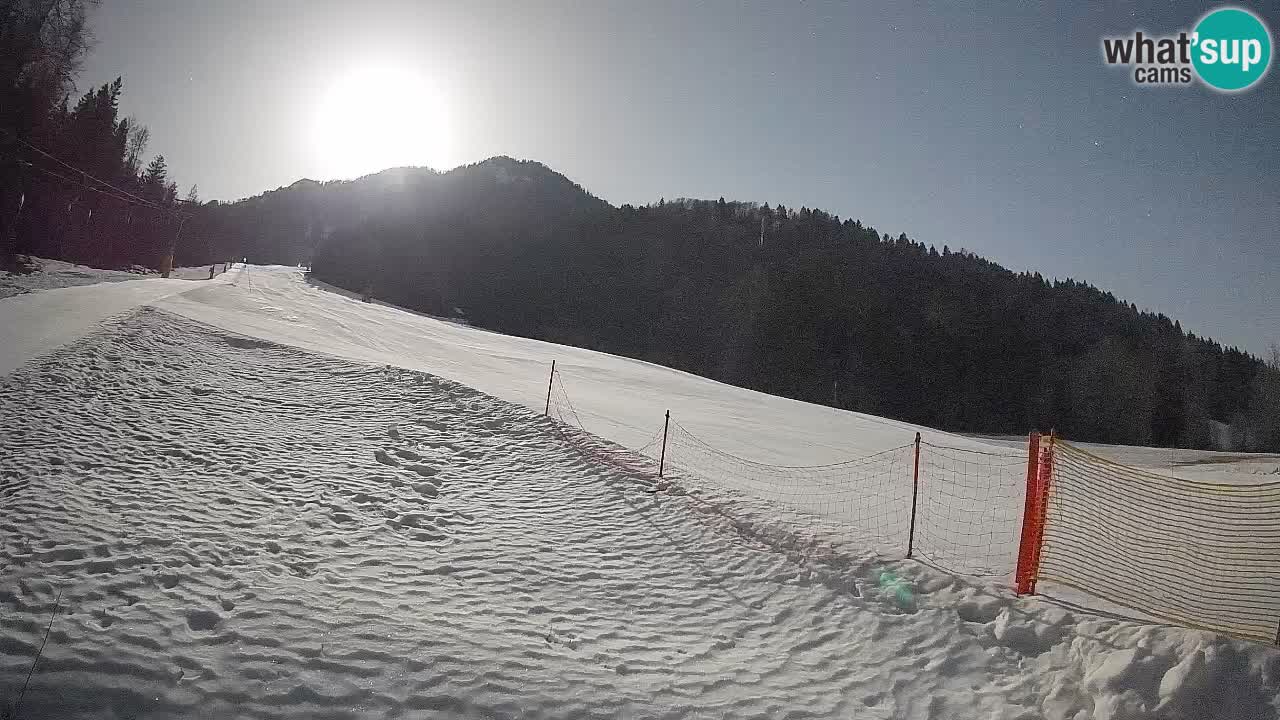 Ski Kranjska Gora | Brsnina