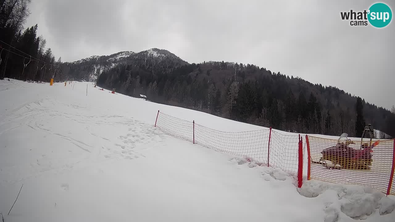 RTC Skigebiet Kranjska Gora | Brsnina
