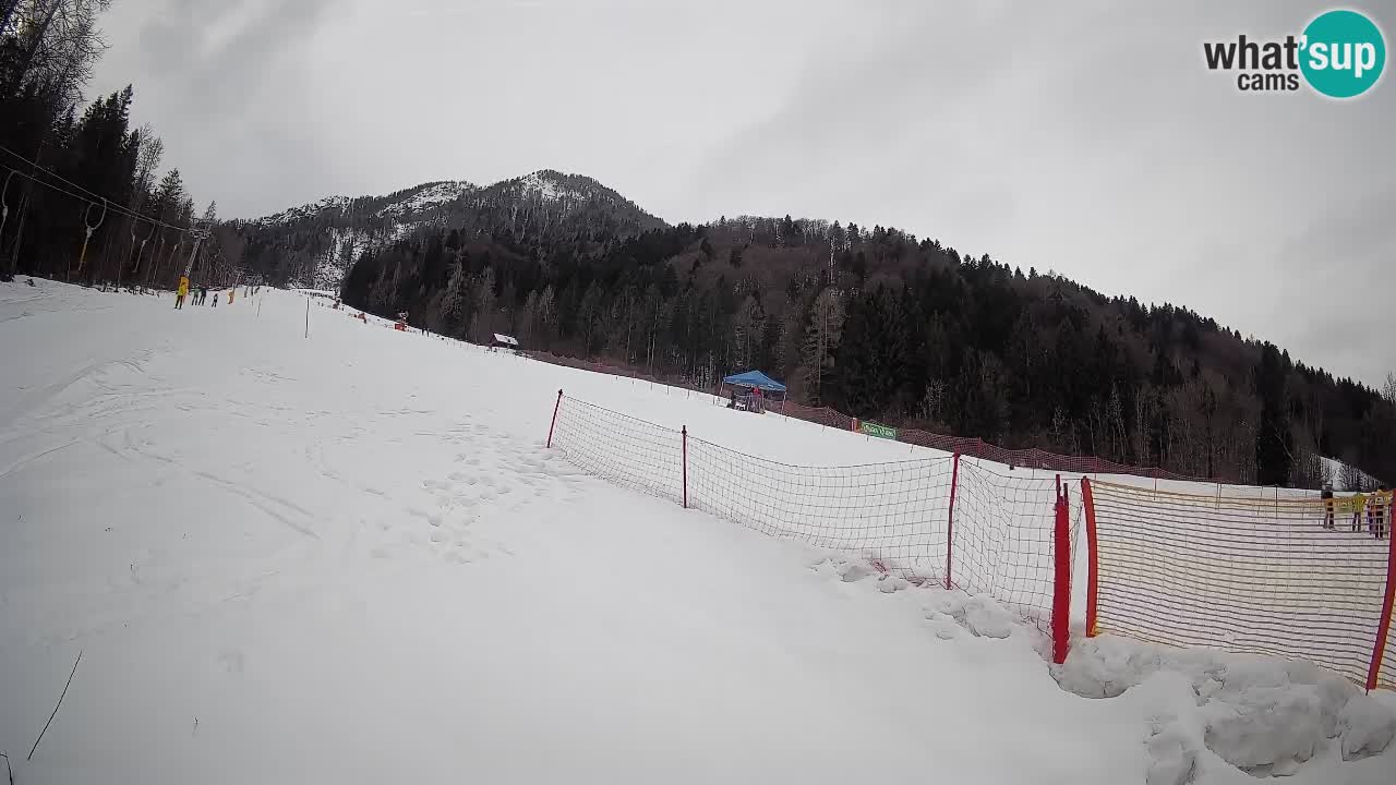Ski Kranjska Gora | Brsnina