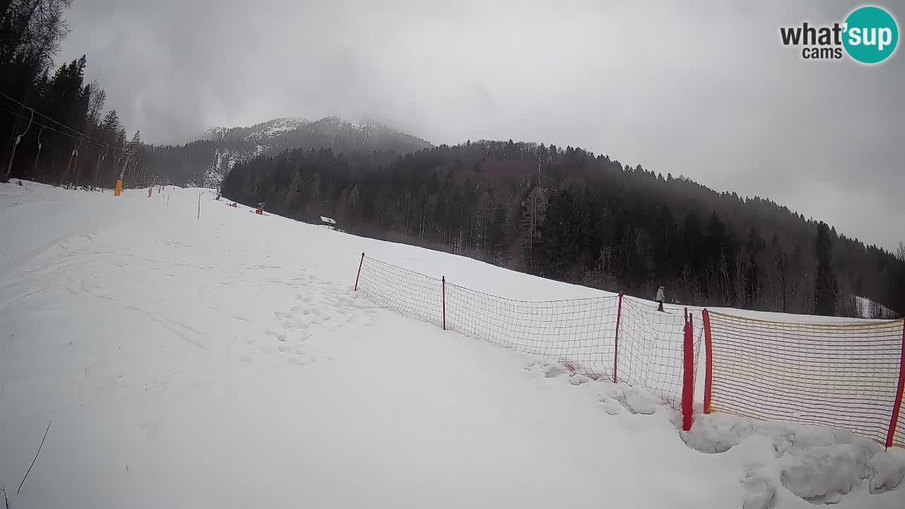 RTC Kranjska Gora | Brsnina