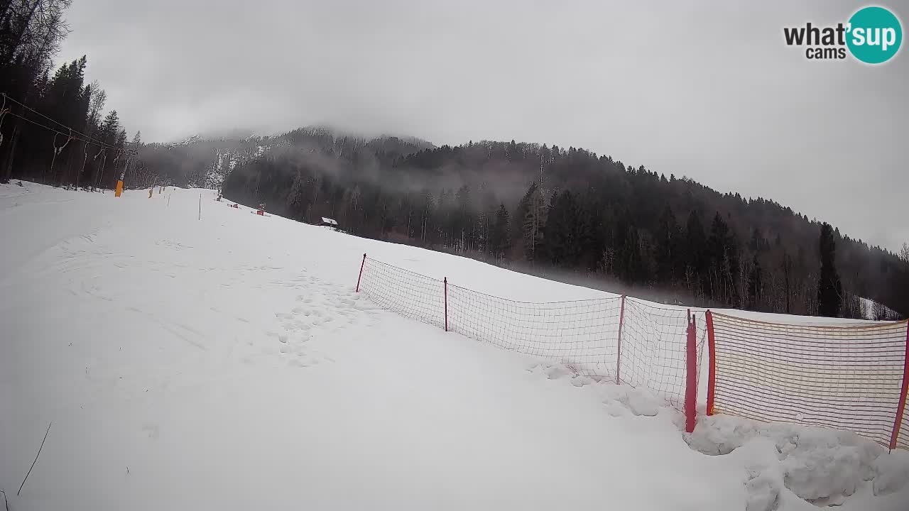 RTC Kranjska Gora | Brsnina