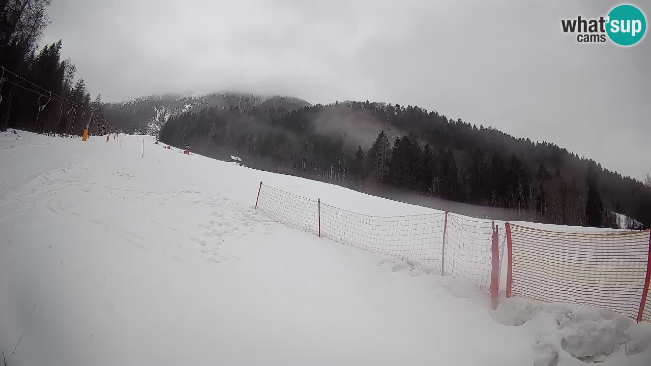 Ski Kranjska Gora | Brsnina