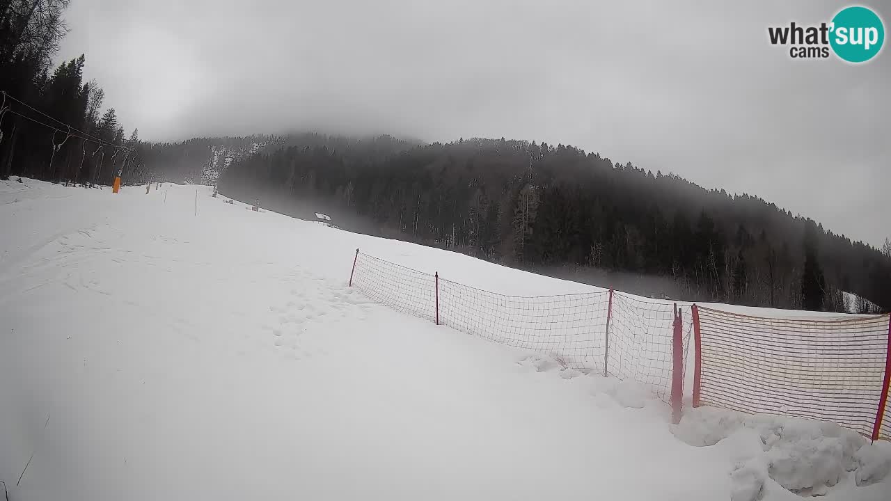 Ski Kranjska Gora | Brsnina