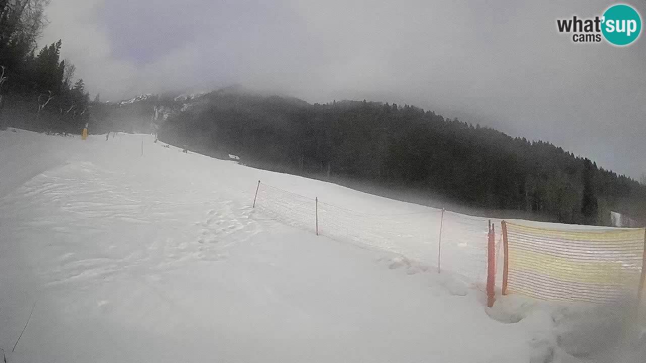 Kranjska Gora Station de ski | Brsnina