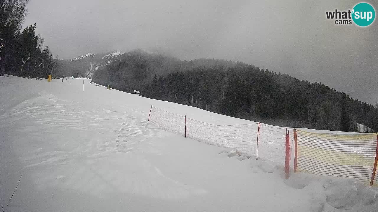 Ski Kranjska Gora | Brsnina