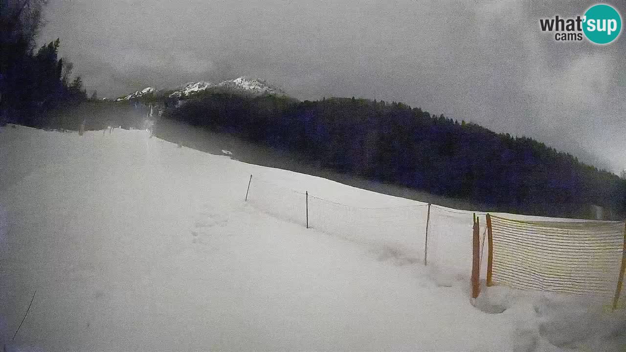 Comprensorio sciistico Kranjska Gora | Brsnina