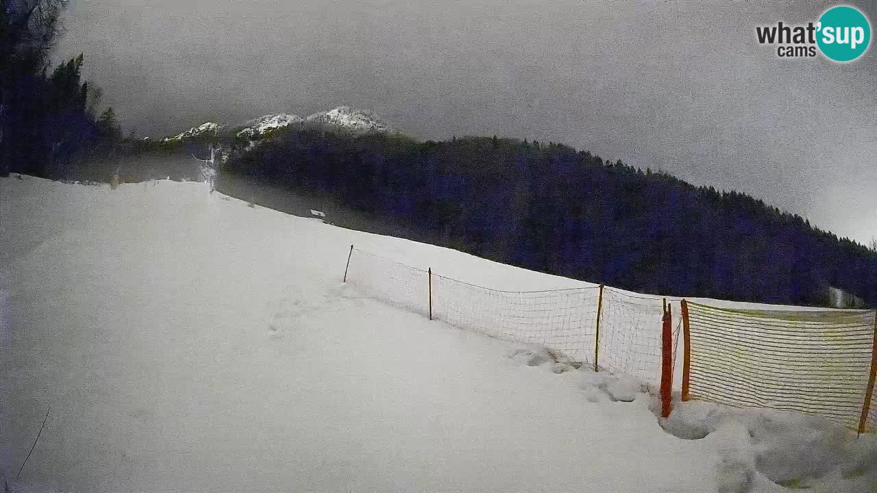 Esquí Kranjska Gora | Brsnina