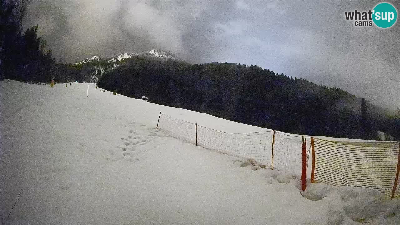 Esquí Kranjska Gora | Brsnina