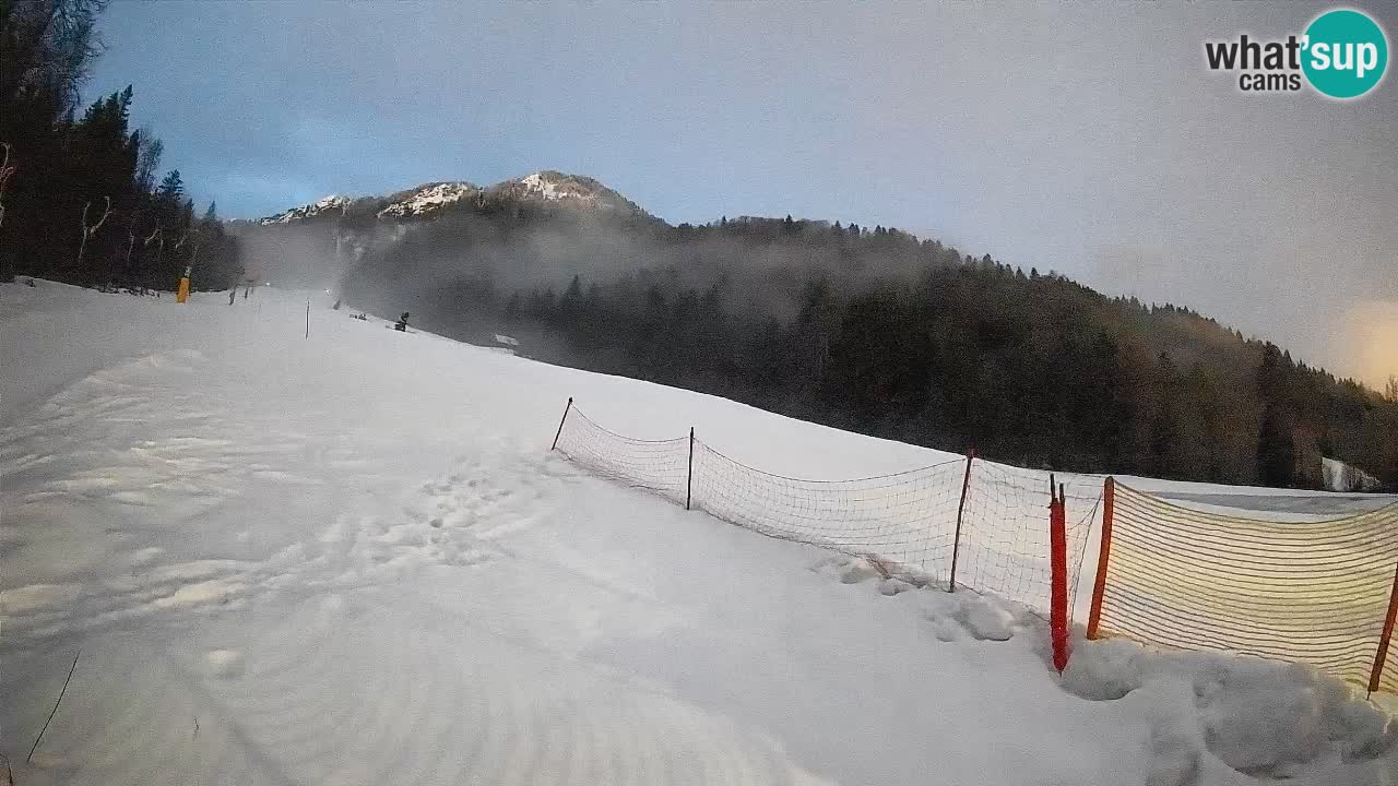 Comprensorio sciistico Kranjska Gora | Brsnina