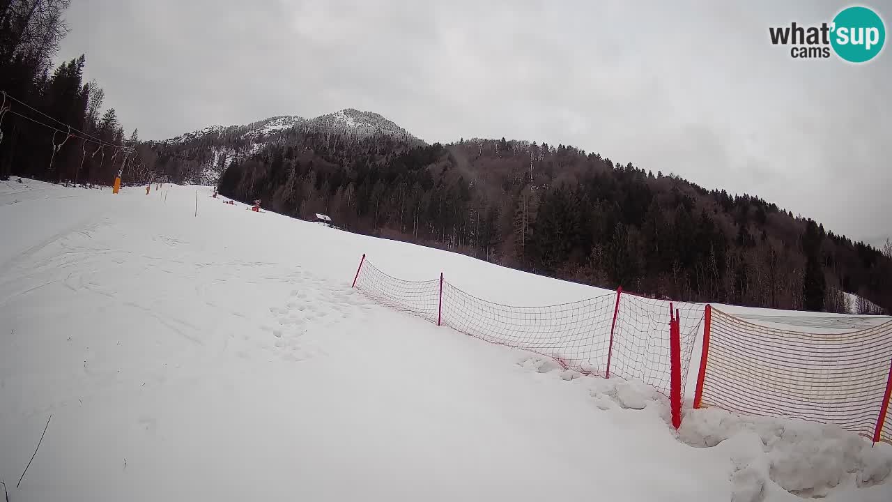 Esquí Kranjska Gora | Brsnina