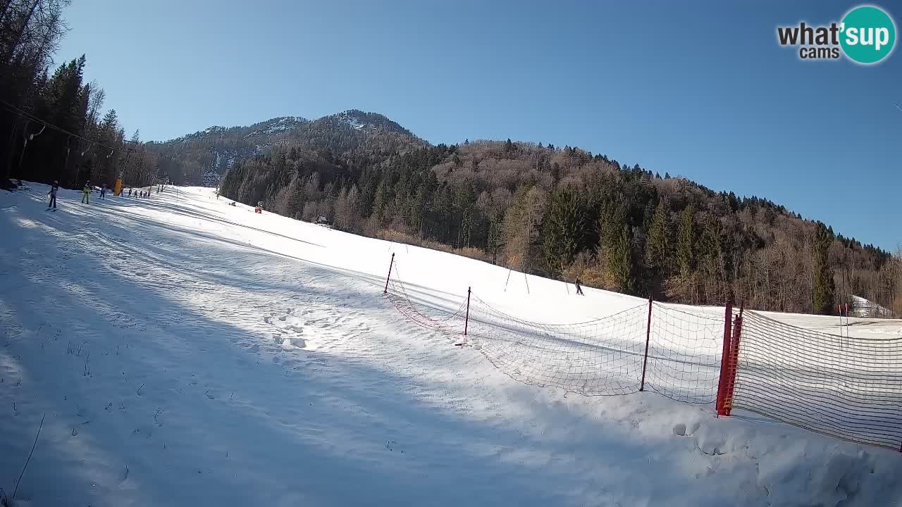 Ski Kranjska Gora | Brsnina
