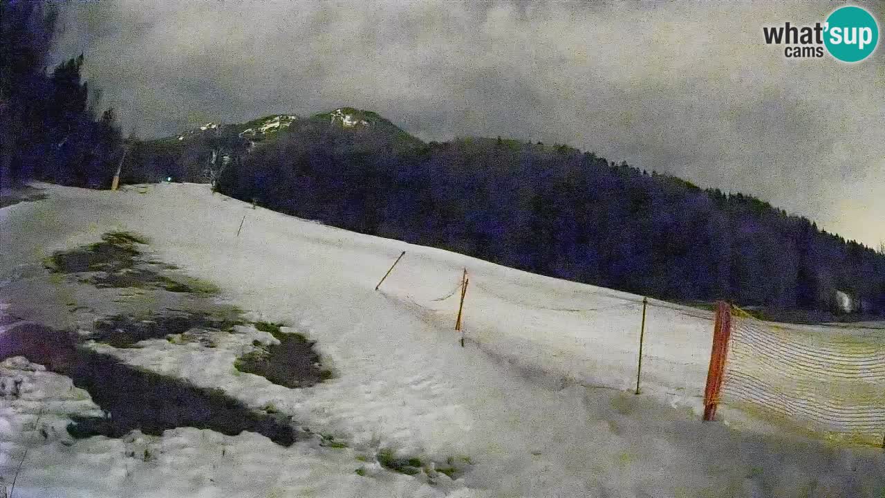 Ski Kranjska Gora | Brsnina
