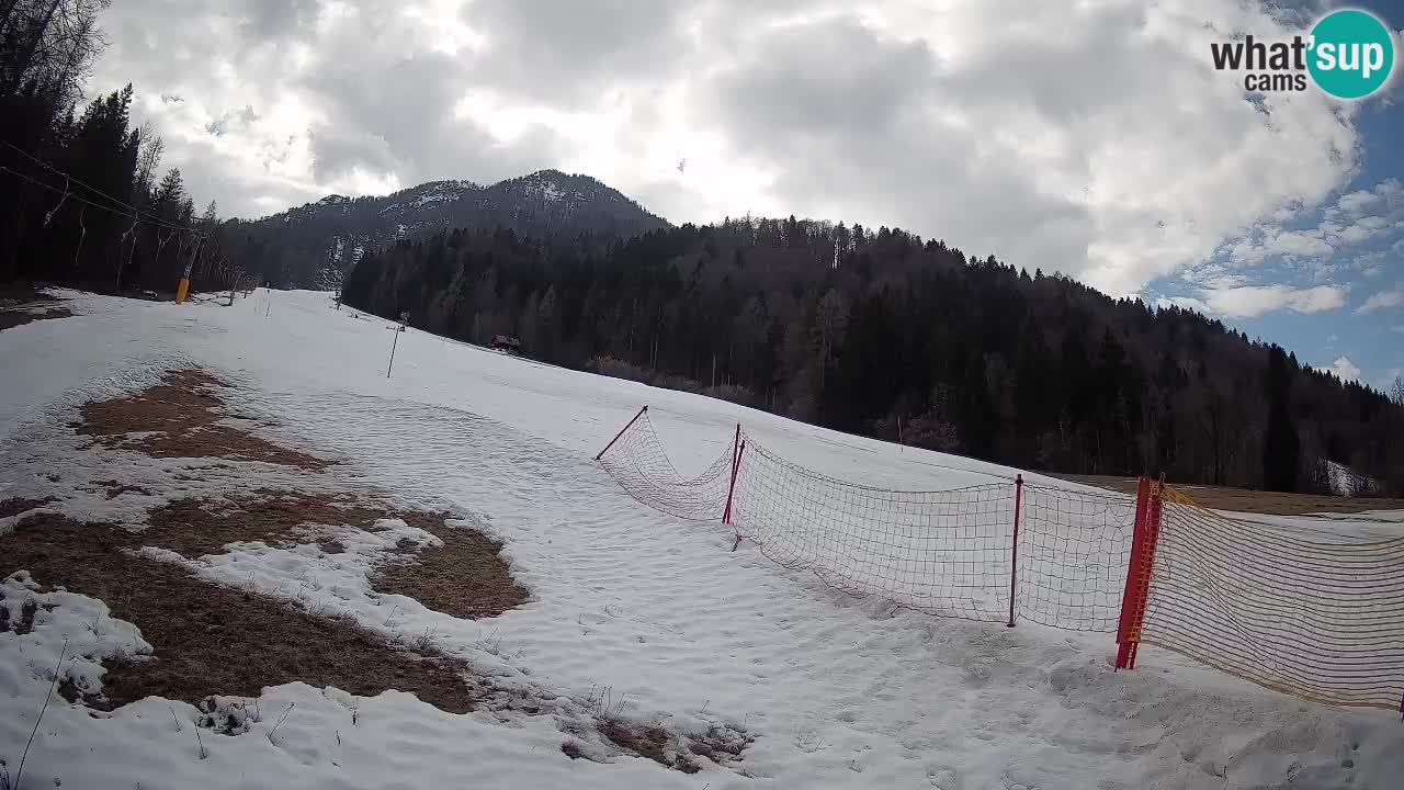 RTC Skigebiet Kranjska Gora | Brsnina