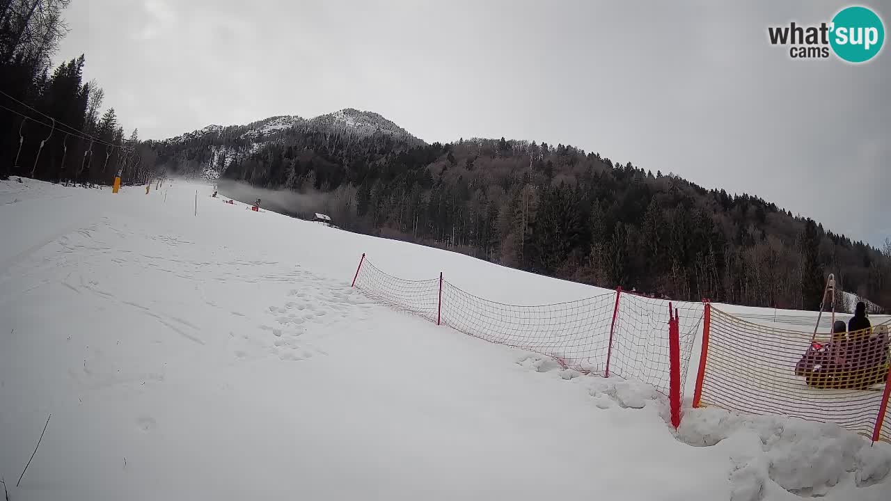 Ski Kranjska Gora | Brsnina