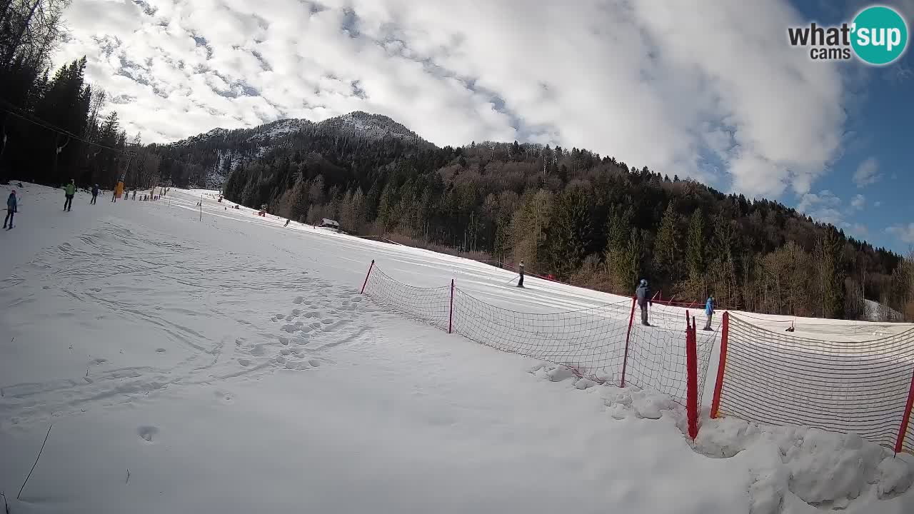 Comprensorio sciistico Kranjska Gora | Brsnina