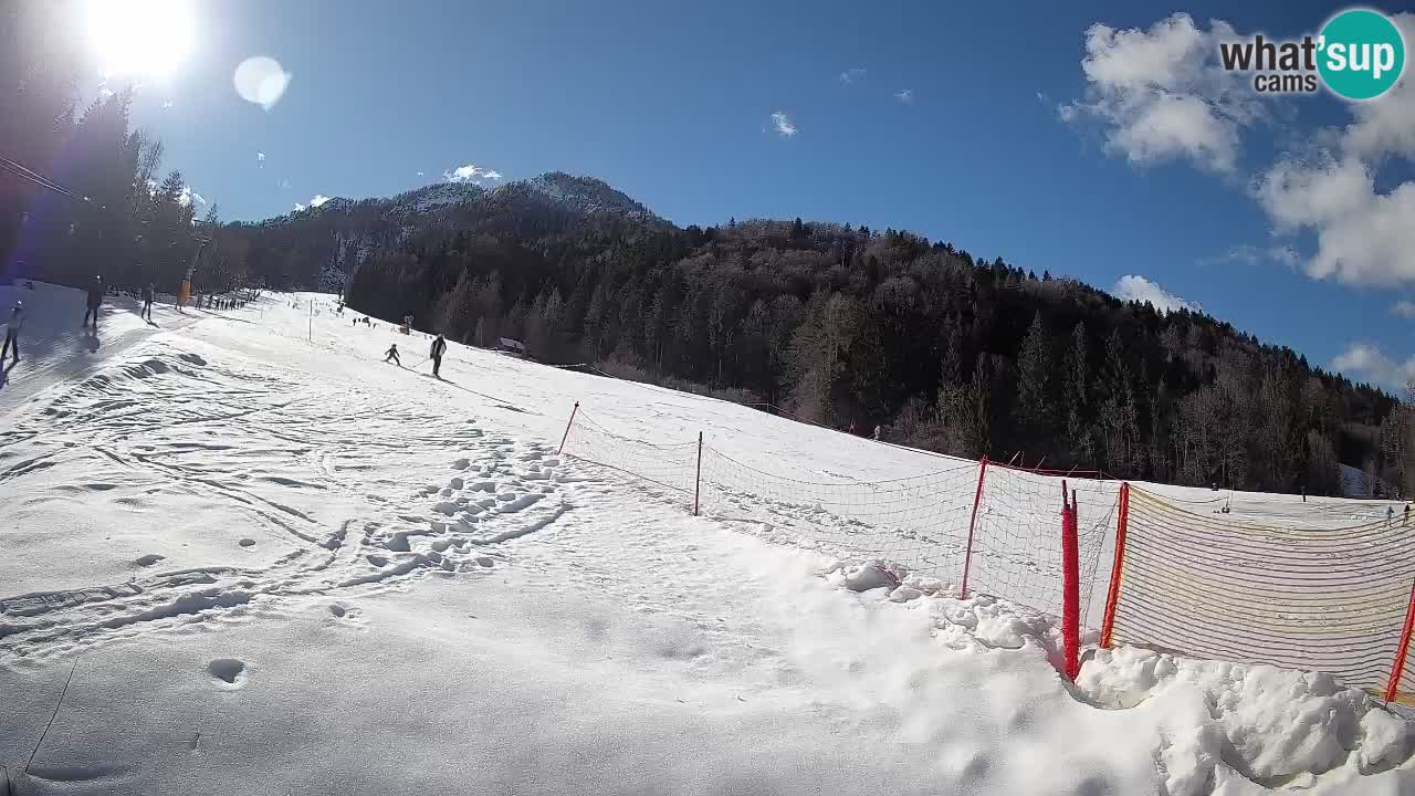 RTC Skigebiet Kranjska Gora | Brsnina