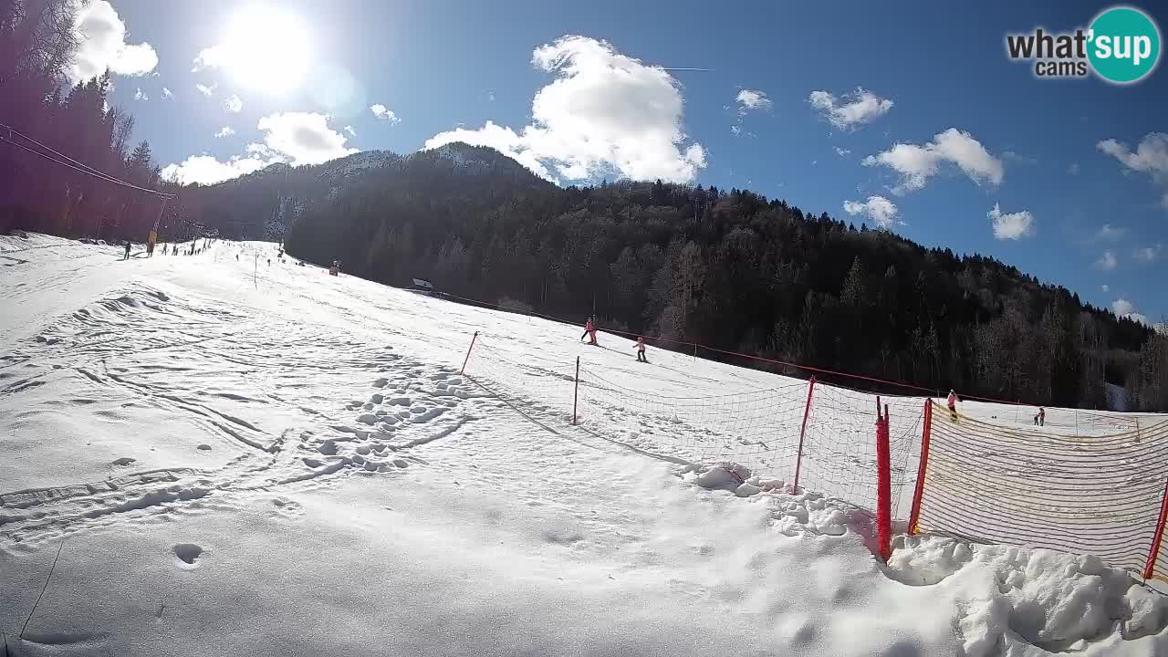 RTC Skigebiet Kranjska Gora | Brsnina