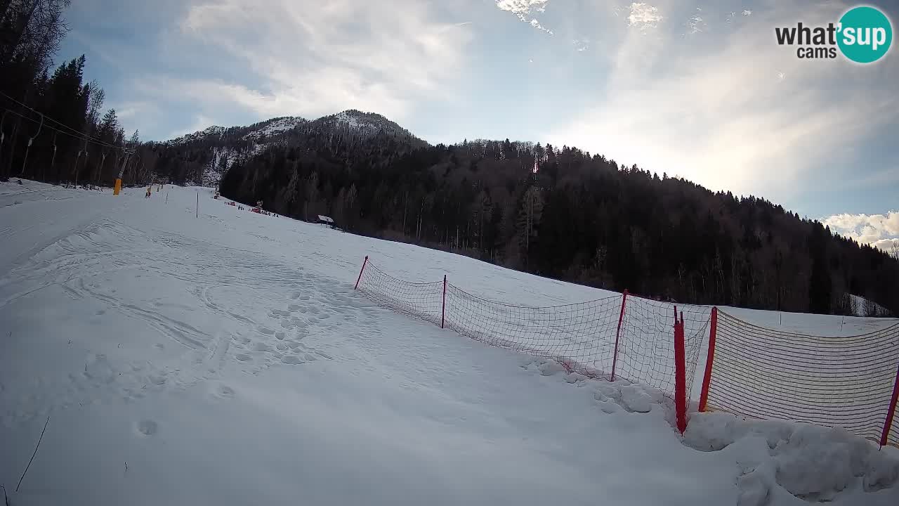 Kranjska Gora Station de ski | Brsnina