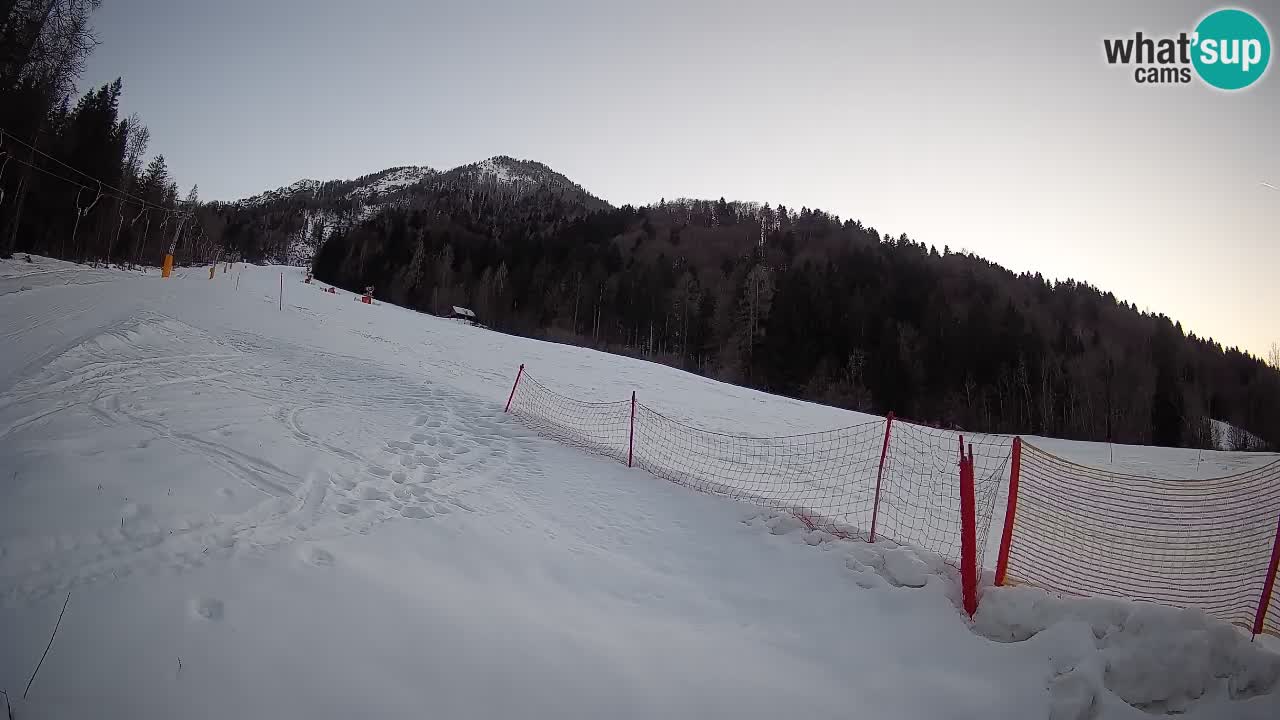Esquí Kranjska Gora | Brsnina