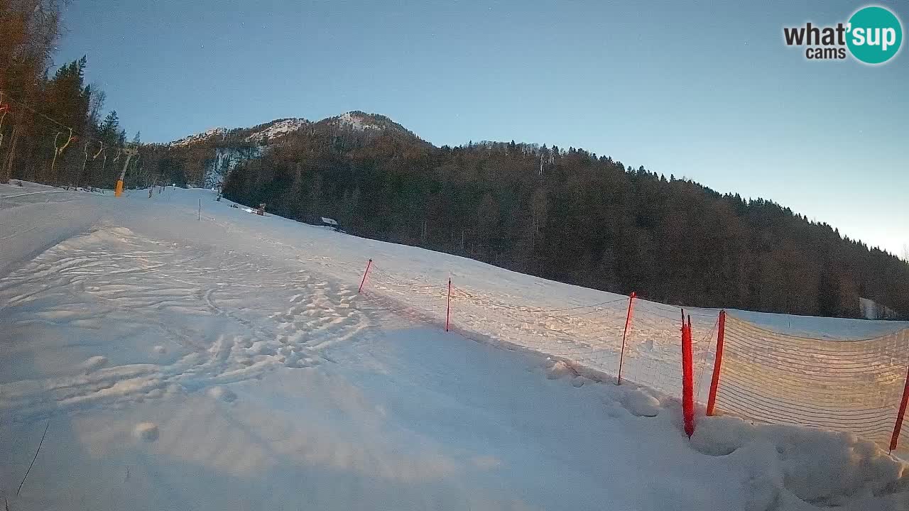 RTC Kranjska Gora | Brsnina