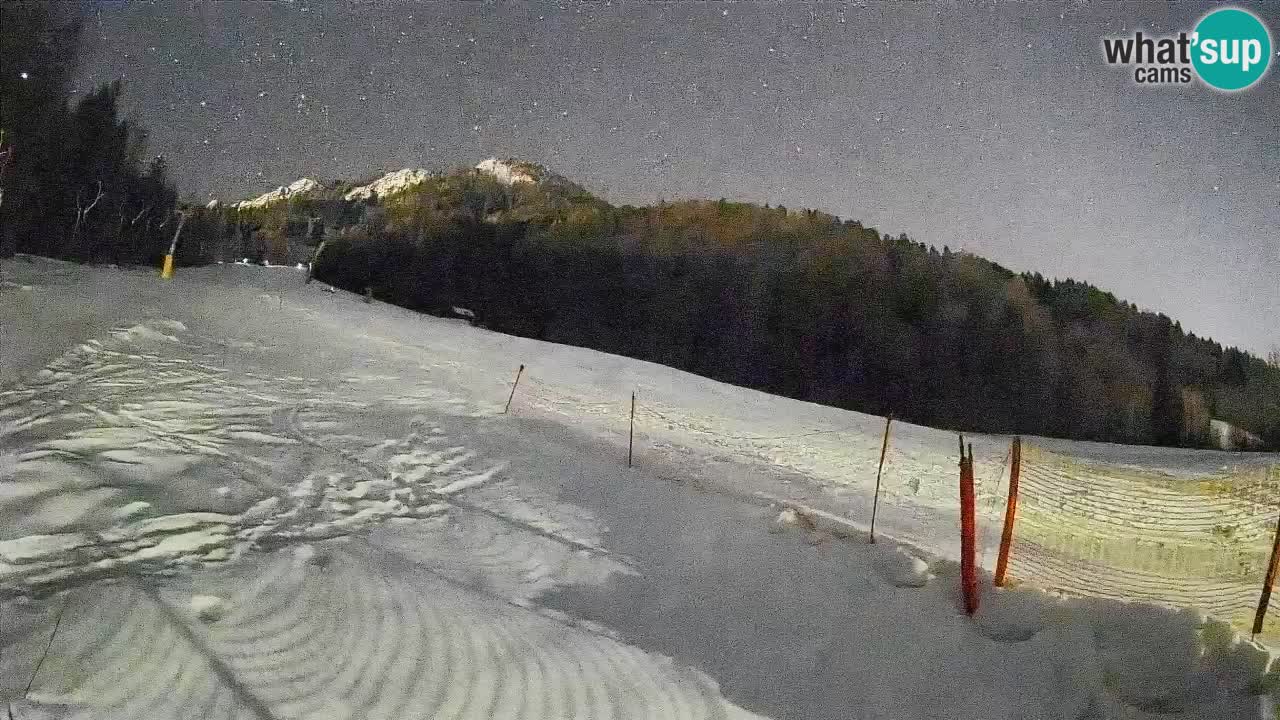 Ski Kranjska Gora | Brsnina