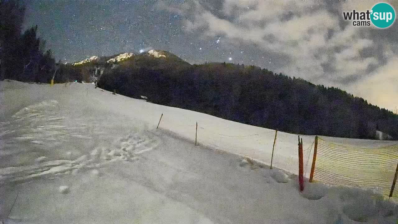 RTC Kranjska Gora | Brsnina