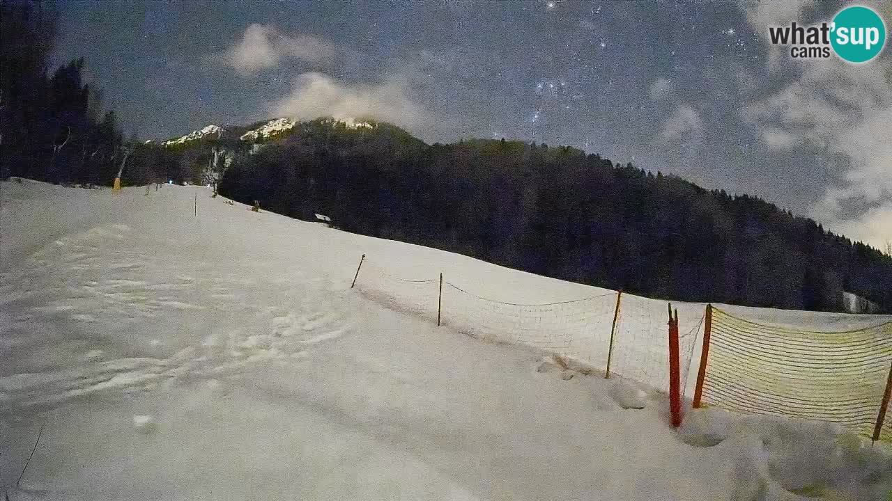 RTC Skigebiet Kranjska Gora | Brsnina