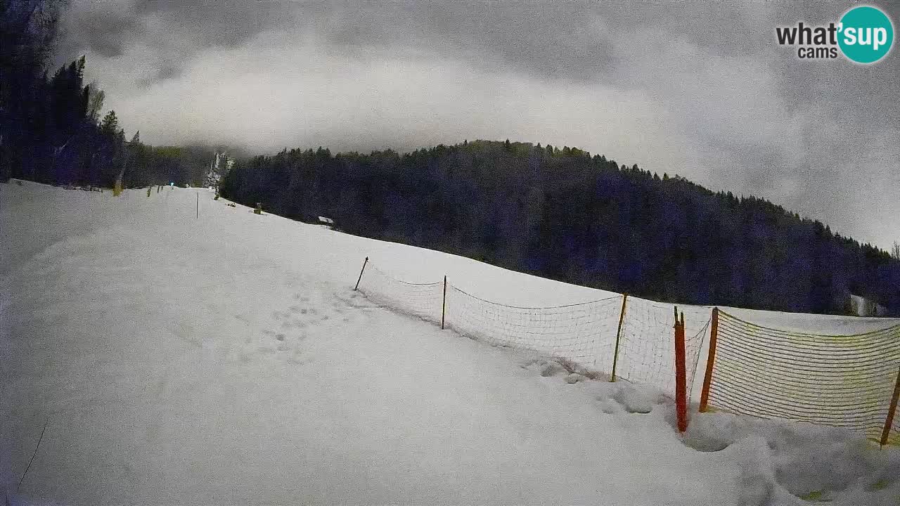 Esquí Kranjska Gora | Brsnina