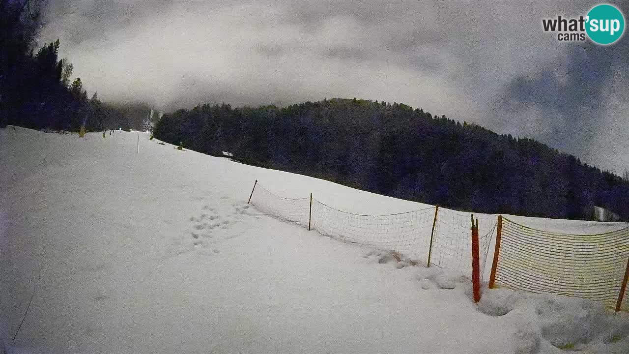 Comprensorio sciistico Kranjska Gora | Brsnina