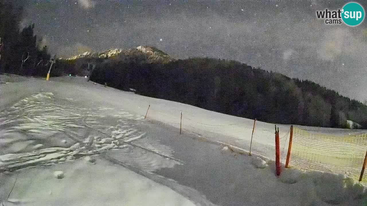 Kranjska Gora Station de ski | Brsnina