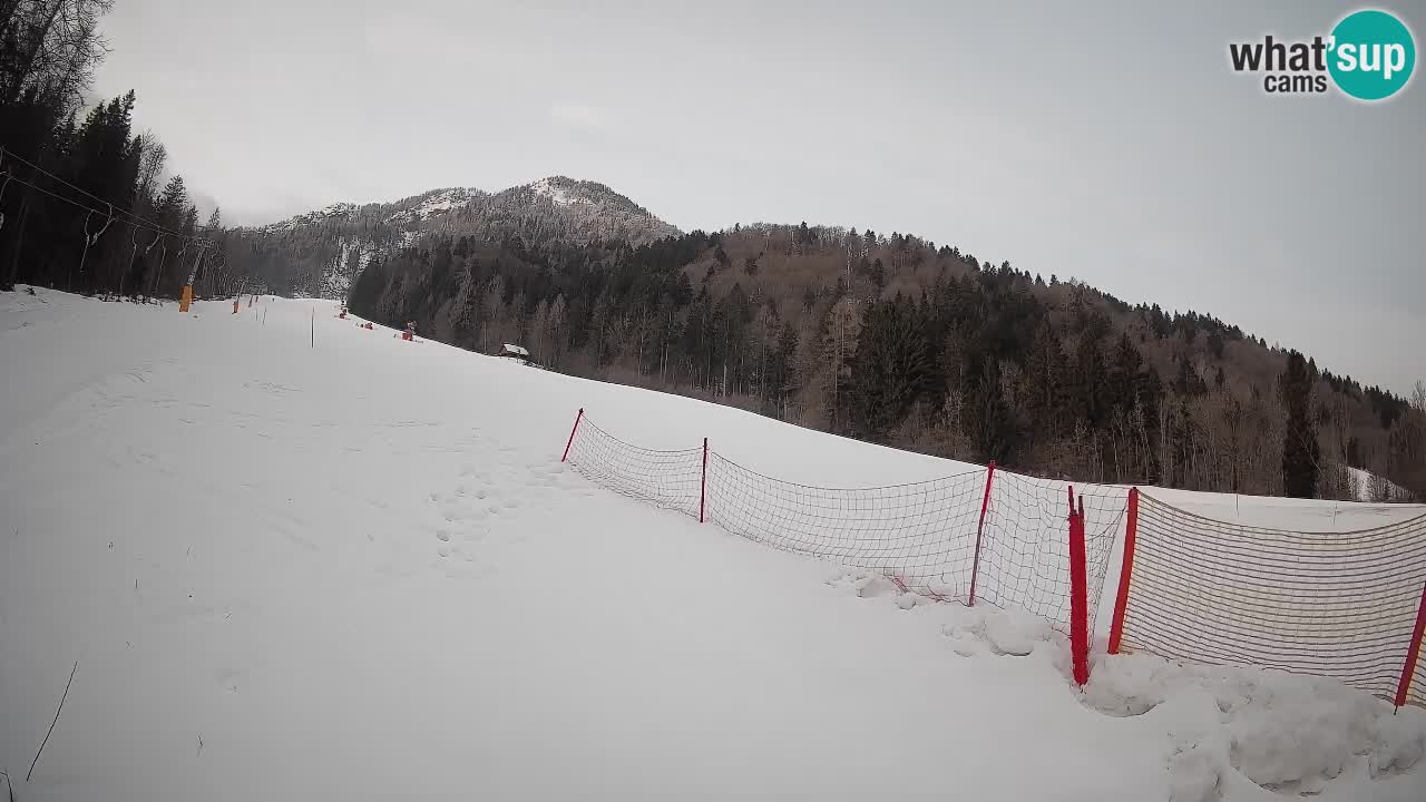 RTC Skigebiet Kranjska Gora | Brsnina
