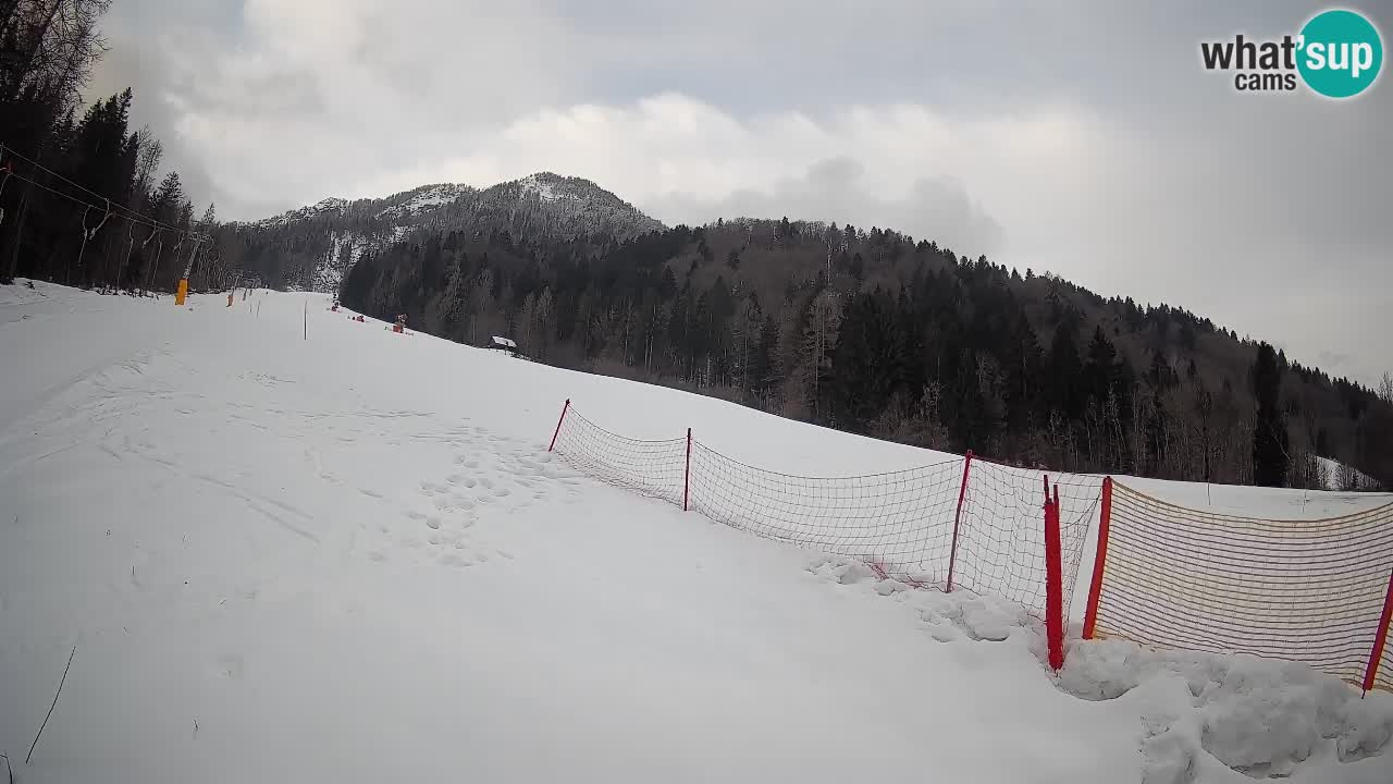 Comprensorio sciistico Kranjska Gora | Brsnina