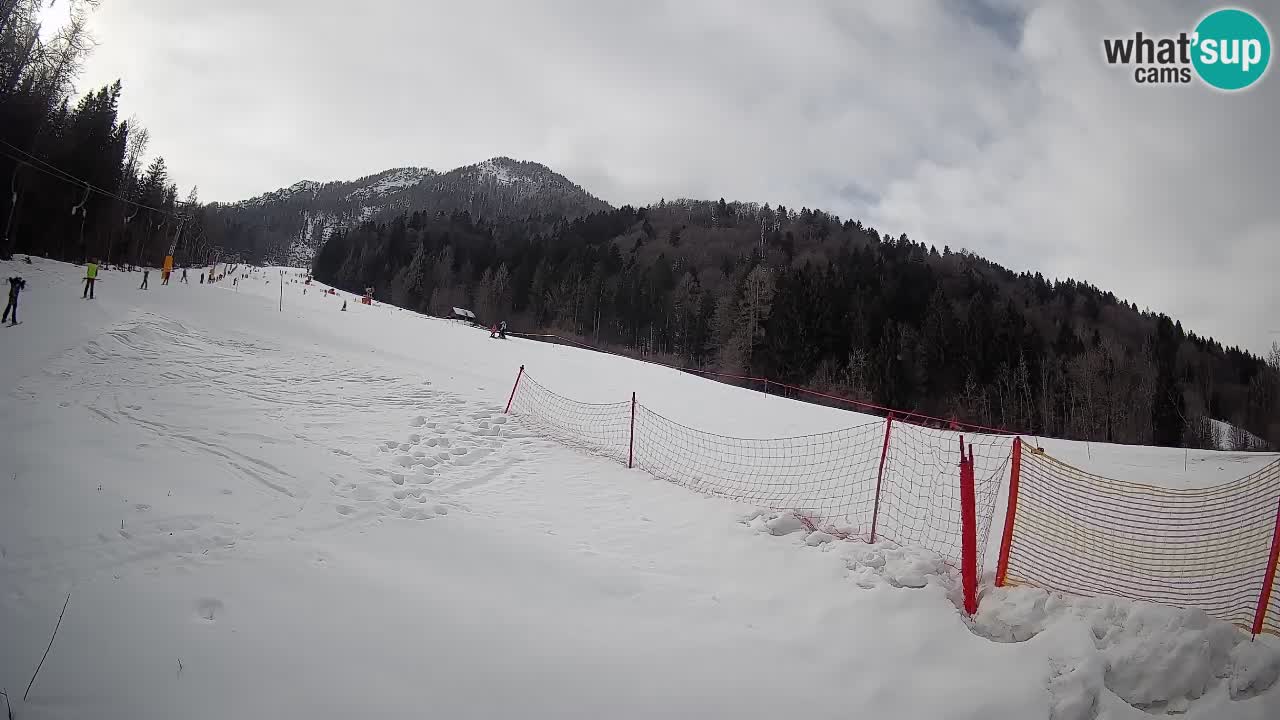 Kranjska Gora SKIJANJE | Brsnina
