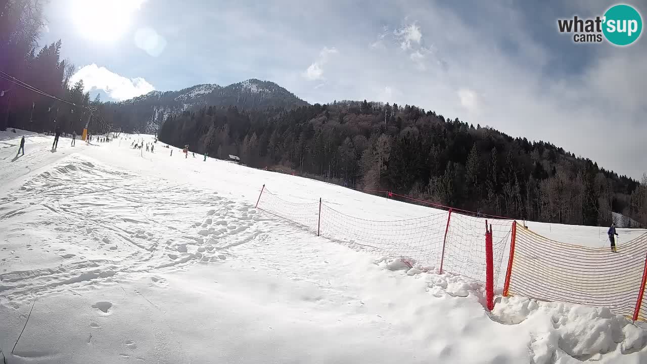 RTC Kranjska Gora | Brsnina